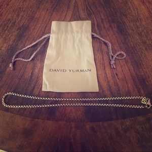 David Yurman Box Chain Necklace